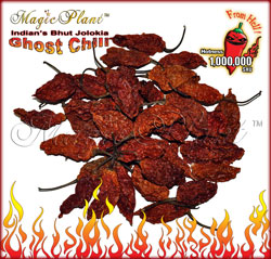 Ghost-Chili-Dry-Pods-S