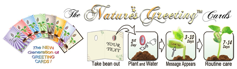 Wholesale-Greeting-Cards