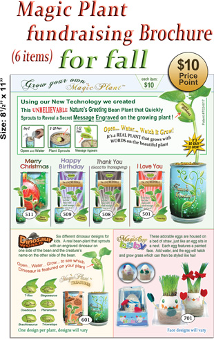 Fundraising-Brochure-Fall