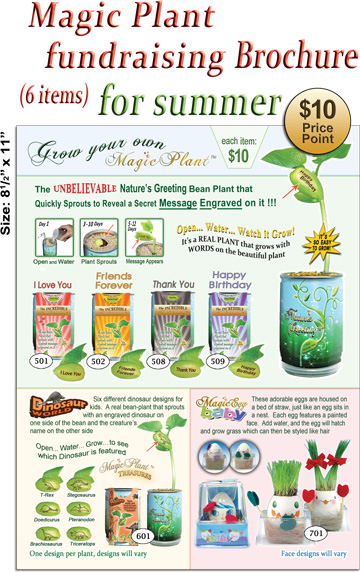 Fundraising-Brochure-Summer