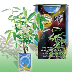 MusicTree