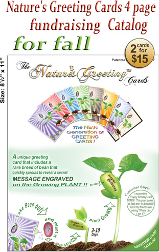 Natures-Greeting-Cards-fall