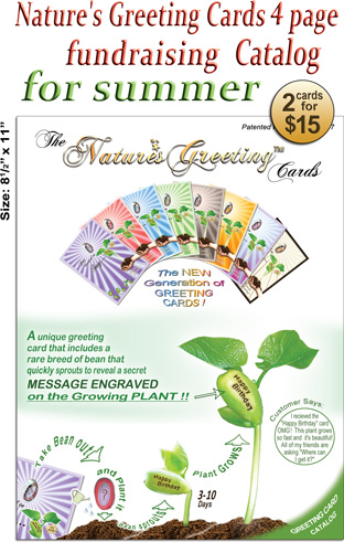 Natures-Greeting-Cards-summer